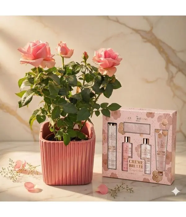 Body care gift set and pink rose tree