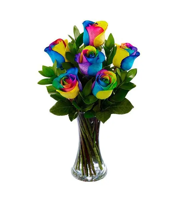 Rainbow rose bouquet in vase