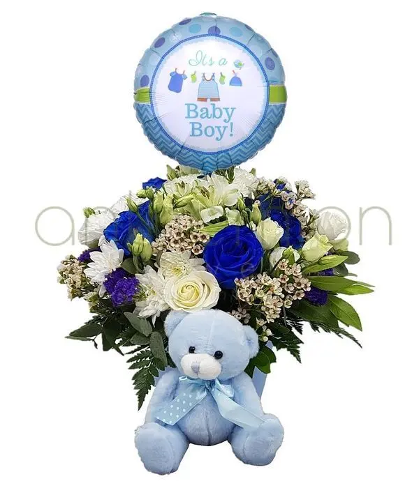 Newborn baby boy gift set