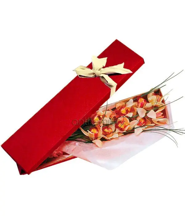 Orchid cymbidium in floral box