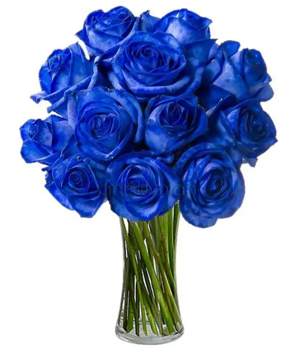 Royal blue roses bouquet