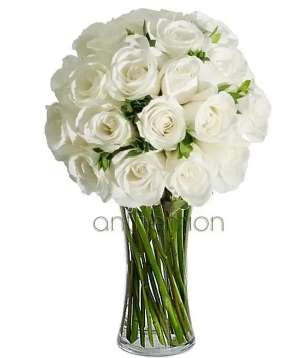 30 Gorgeous white roses