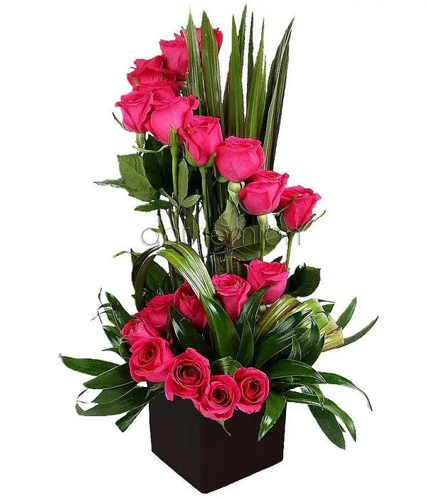Wonderful cube arrangement