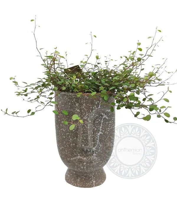 Charming ceramic head with plant