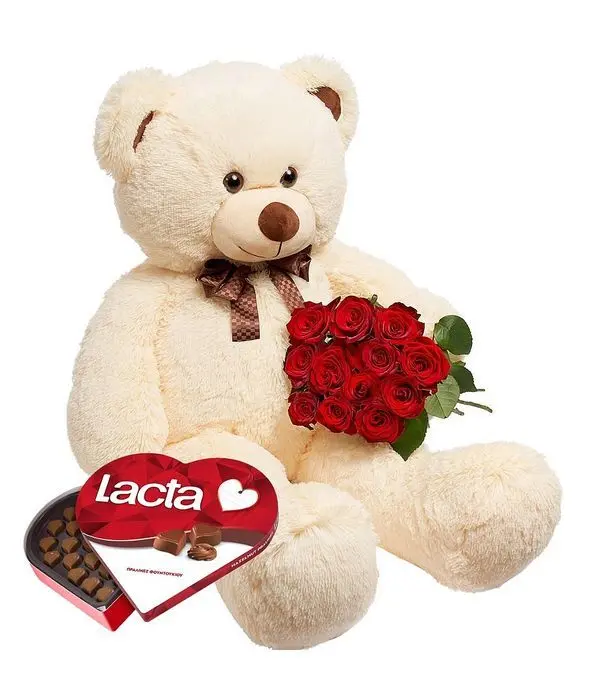 12 Red Roses, Beige Teddy and Chocolates