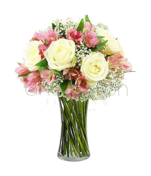 Adele white roses, pink alstroemerias (Basic)