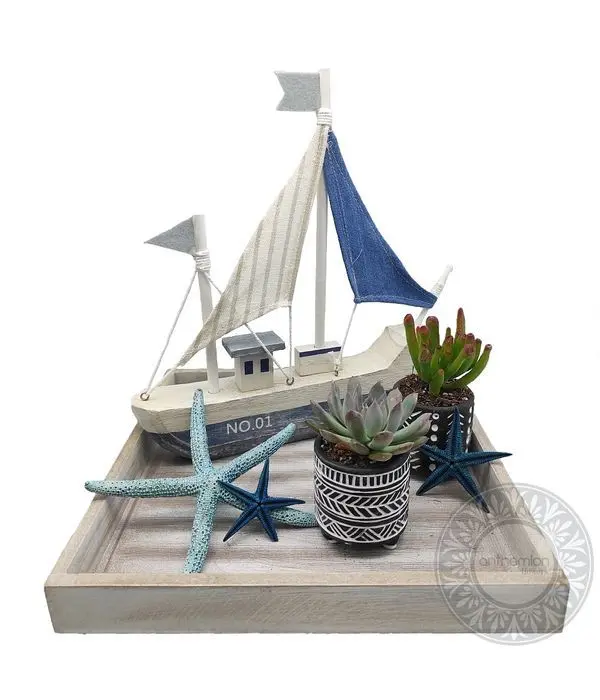 Summer tray with succulent plants