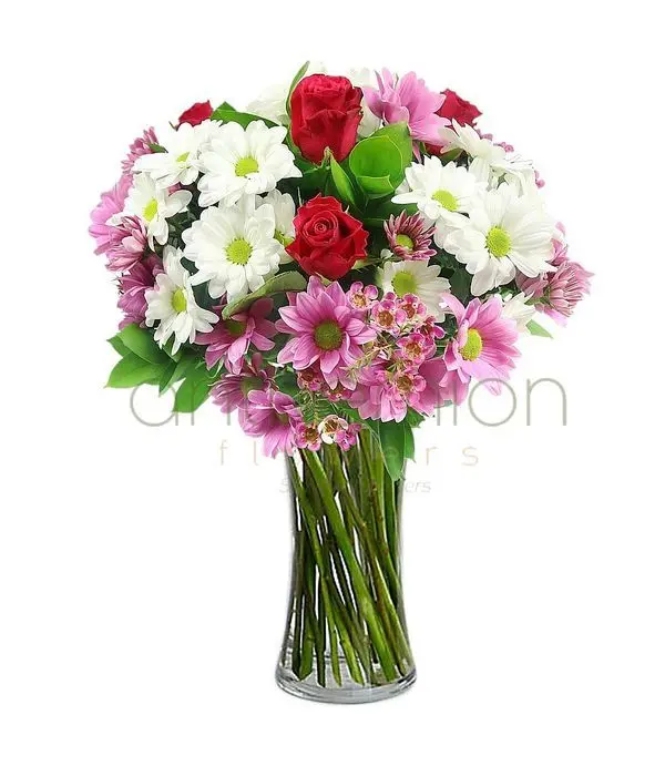 Chrysanthemums | VASE IS NOT INCLUDED