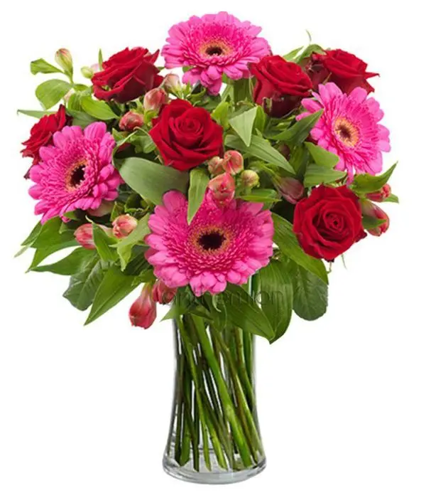 Fuchsia, pink and red flowers