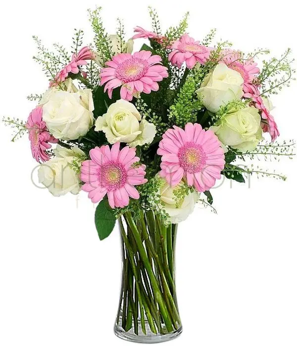 Ismene with white roses and pink gerberas (Basic)
