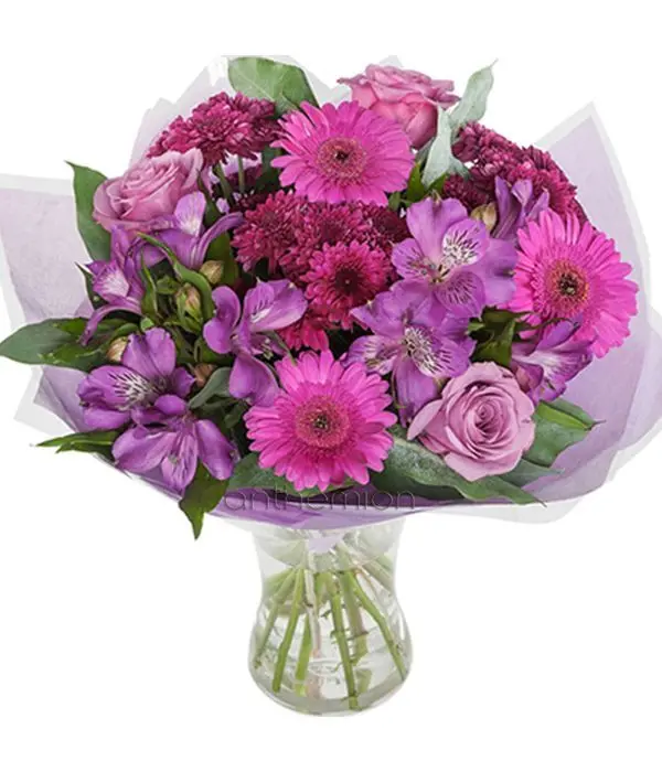 Purple, lilac and fuchsia flowers