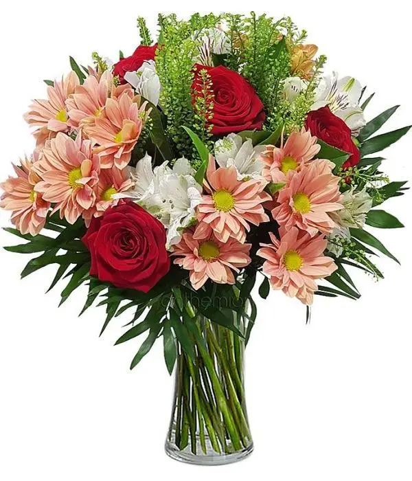 Althea with salmon chrysanthemums (Basic)