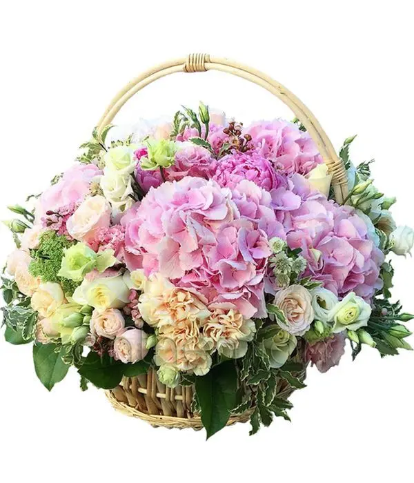 Roses and hydrangea in basket (Basic)
