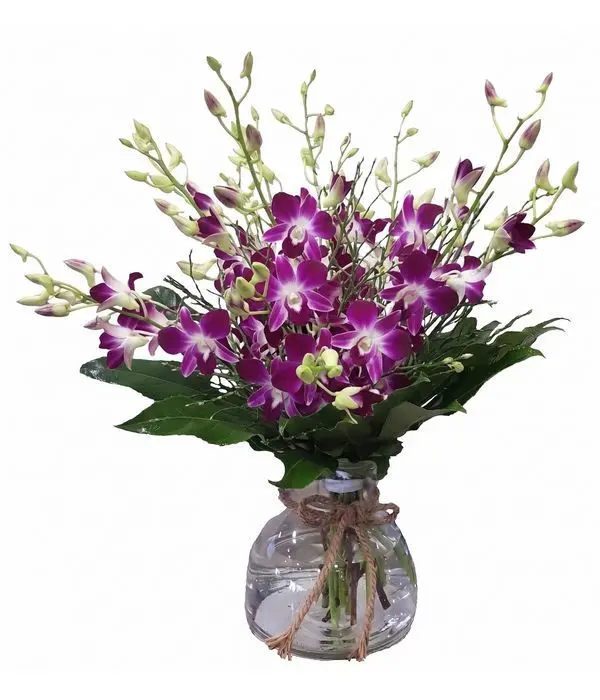 Purple Dendrobium Orchid Arrangement in Glass Vase