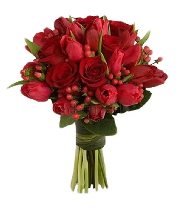 Bouquet of Red Beauty (Basic)