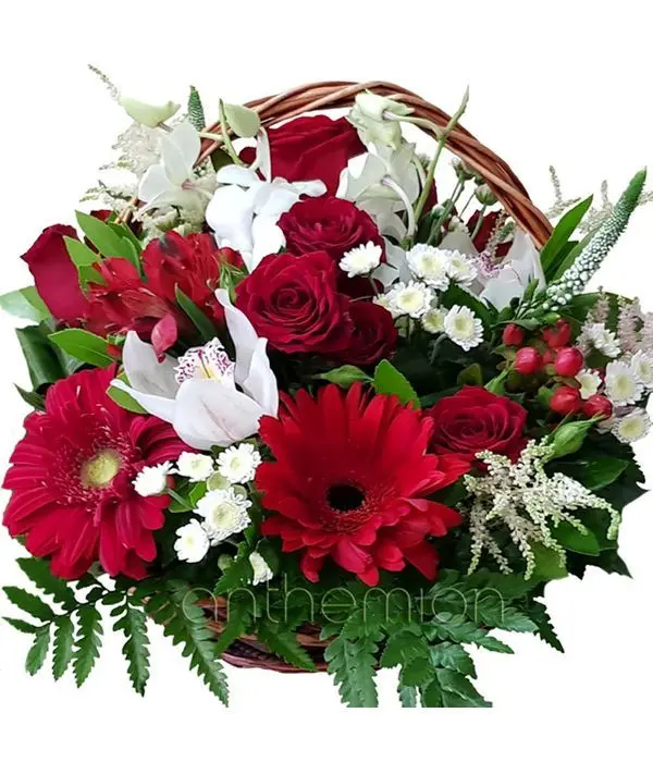 White and red flowers in basket (Basic)