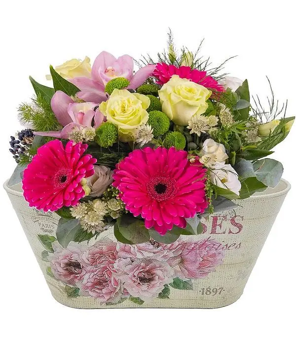 Pink and yellow flowers in sweet arrangement