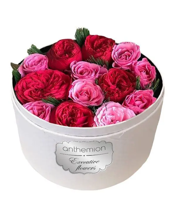 Red and pink roses in white box