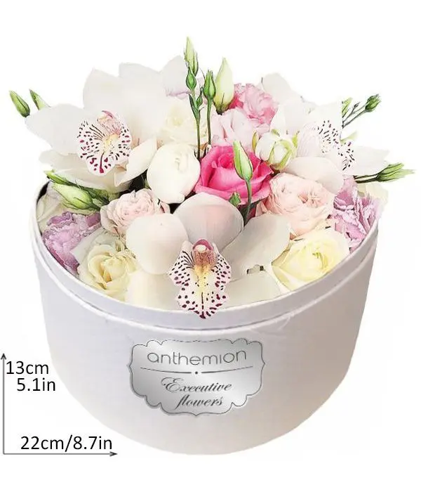 Exotic beauty in white box