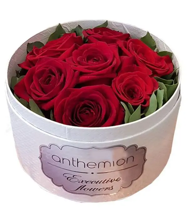 Red beauty in white box