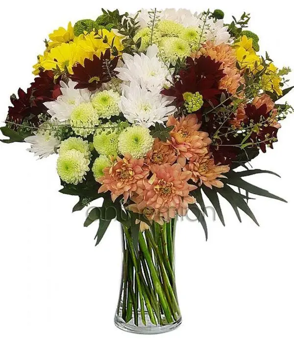 Seasonal memories with chrysanthemums