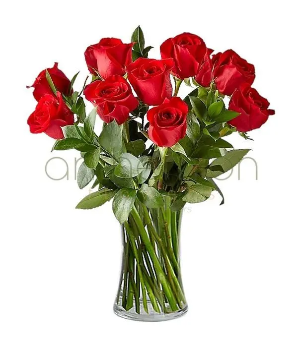 Bouquet of 10 red roses