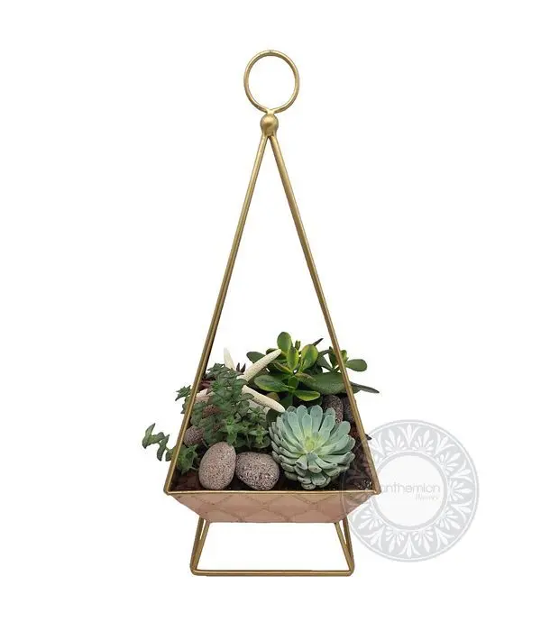 Succulents in metallic base