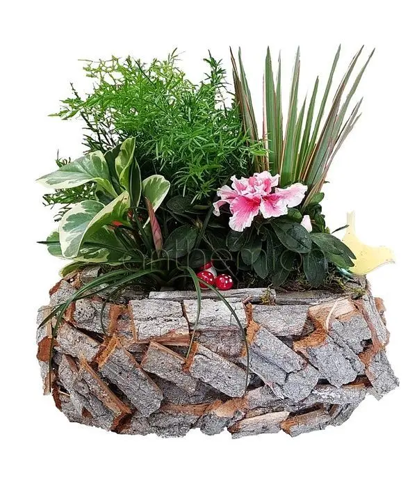Tree Trunk with plants