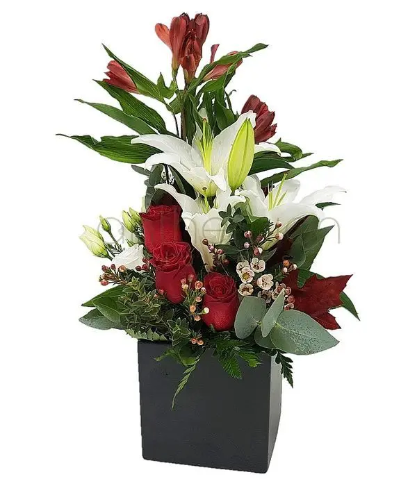 Charming cube with red/white flowers