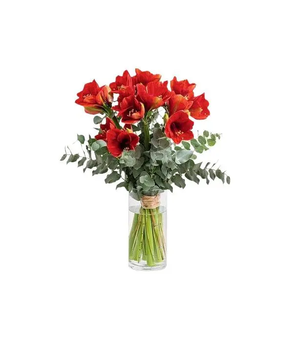 Red Amaryllis with Eucalyptus | WUTHOUT A VASE