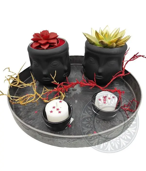 Tray with coloured succulents
