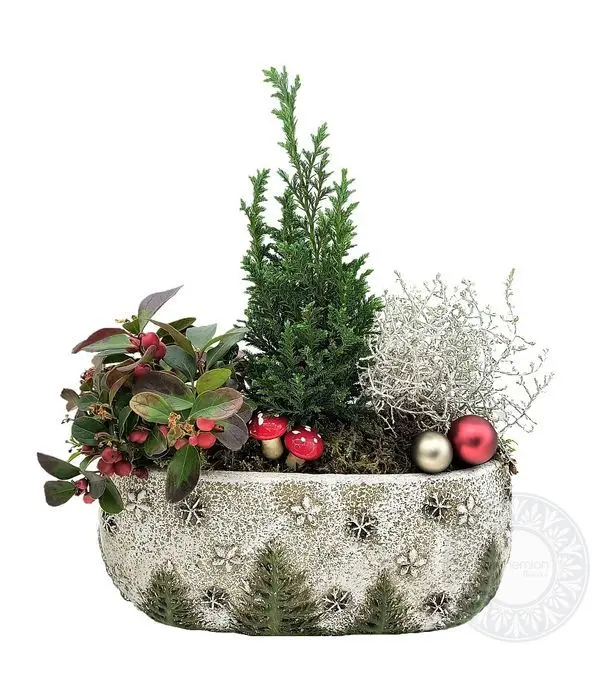 Arrangement with plants on a cement base