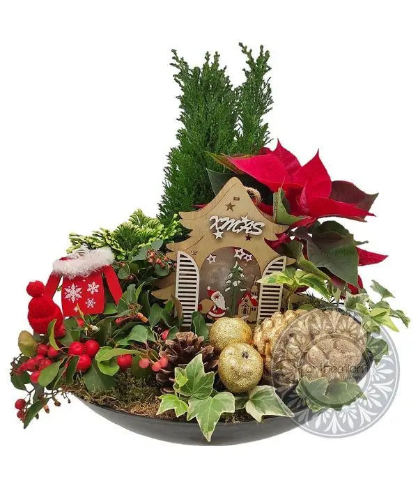 Christmas garden with plants