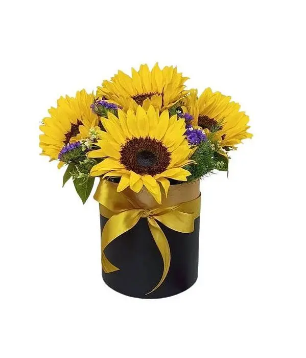 Flower box with Sunflowers