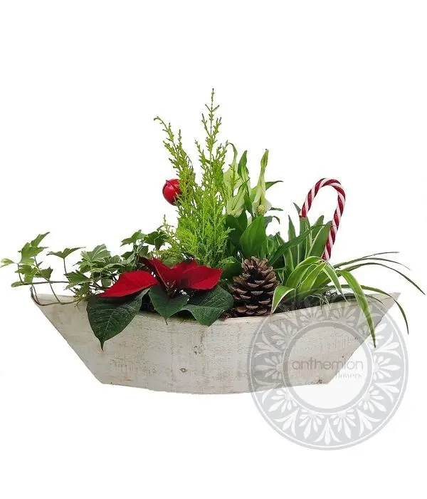 Plants in wooden gondola