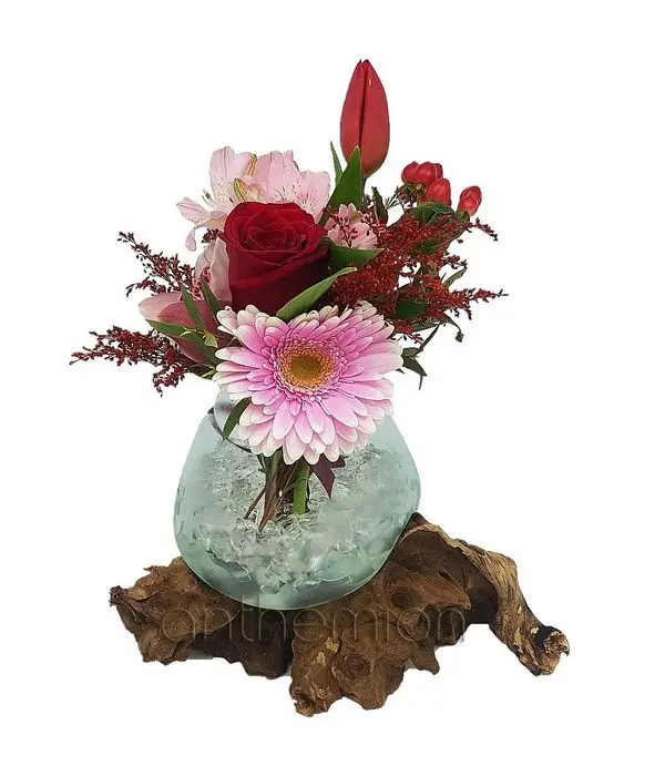 Wooden/glass elegant arrangement