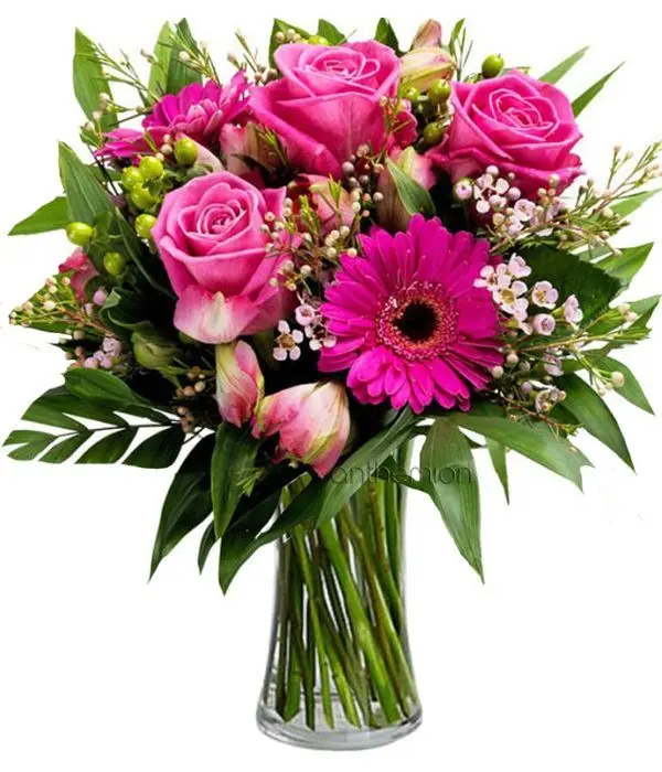Positive Thinking with fuchsia flowers (Basic)