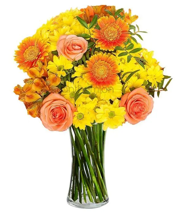 Sunshine with yellow and orange flowers