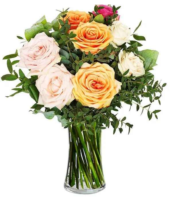 Warm embrace with roses