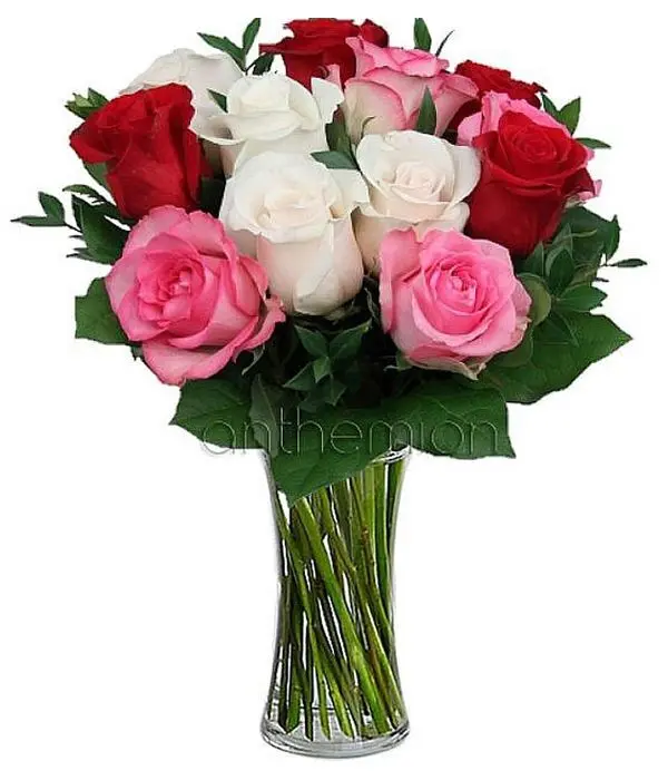 12 A ssorted roses (Basic)