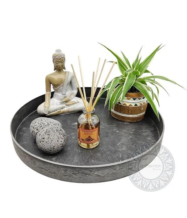 Tray with microphyte and decorations