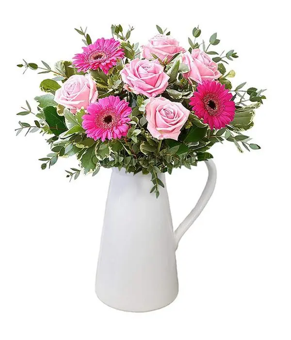 Pink roses and gerberas in jug