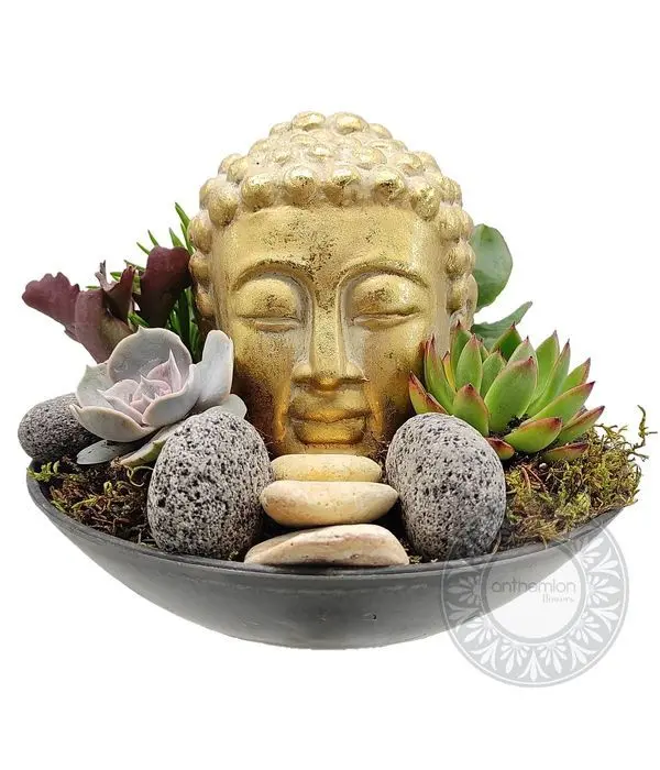 Bowl of succulents