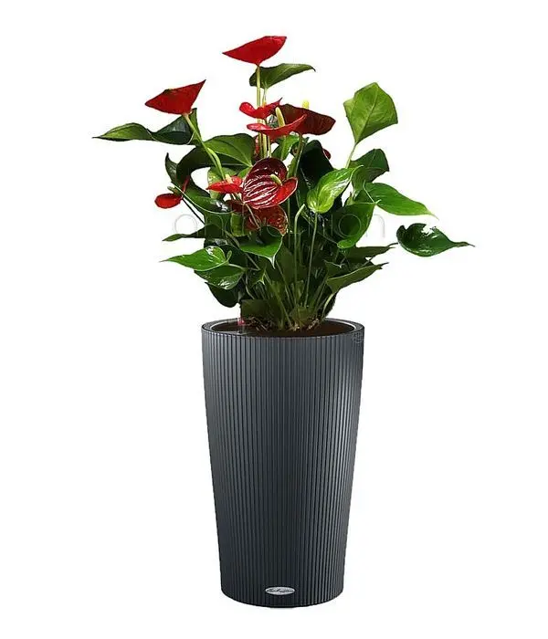 CILINDRO pinstriped self-watering pot