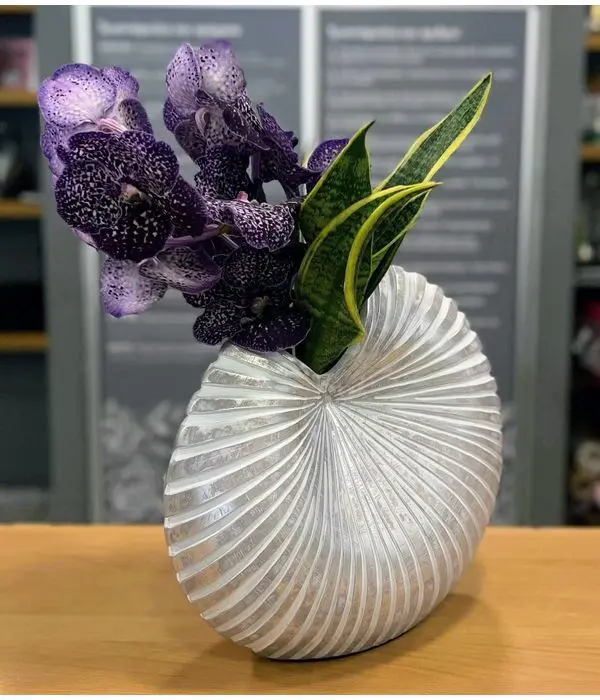 Composition in ceramic shell with Vanda orchid