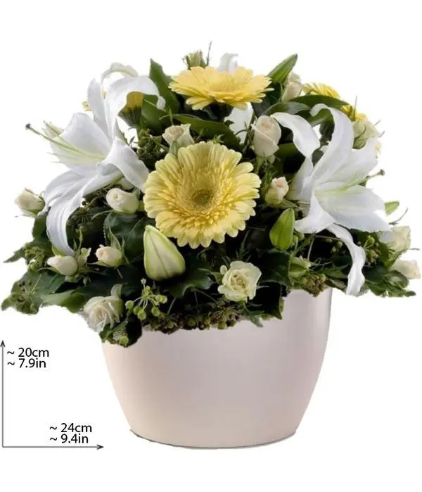 Pot with oriental and gerberas