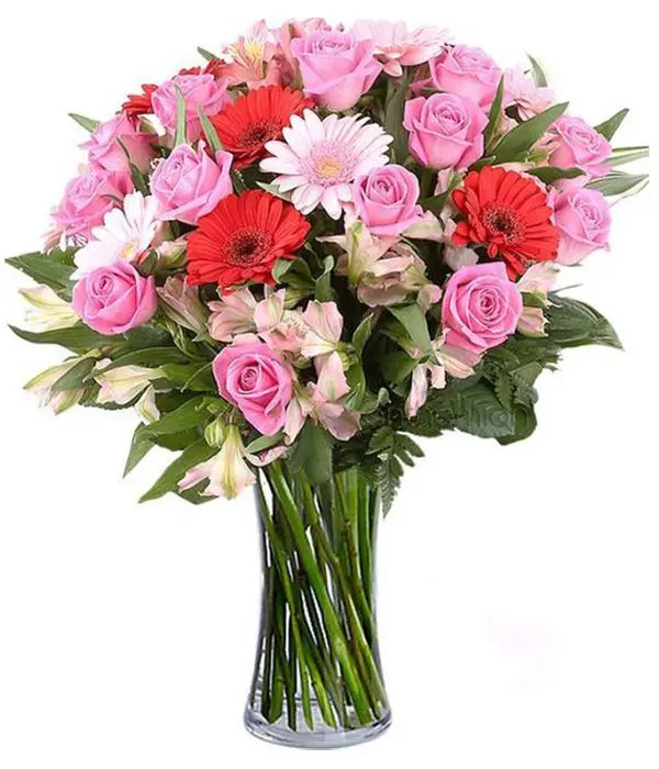 Artemis with pink gerberas