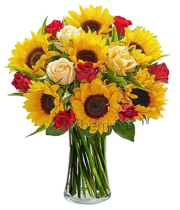 Bouquet of sunflowers and roses (Basic)