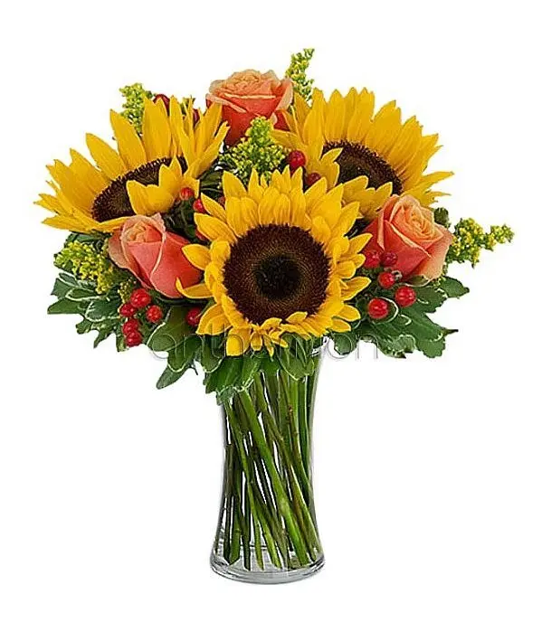 Sunflowers and orange roses (Basic)