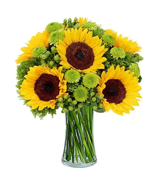 Bouquet of sunflowers and chrysanthemums
